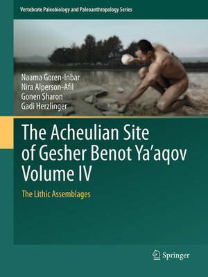 cover image of The Acheulian Site of Gesher Benot Ya'aqov Volume IV